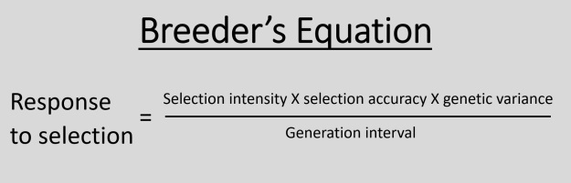 Breeders equation figure